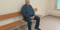 Начали судить мужчину, обвиняемого в жестокой расправе над собакой в СНТ под Верхней Пышмой - Фото 2 - JustMedia