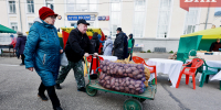 Продовольственная дефляция в Коми: упали цены на овощи и фрукты - Bnkomi.Ru