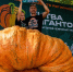 817-килограммовая тыква из Иркутской области признана лучшей в России - Weacom.Ru
