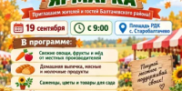 Приглашаем жителей и гостей Балтачевского района на ярмарку! - Балтачевский район