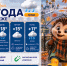 Пора на осеннюю прогулку: прогноз погоды в Воронеже - Bloknot-Voronezh.Ru
