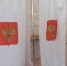 О доступности для маломобильных граждан избирательных участков в Гатчинском округе - Гатчинская служба новостей