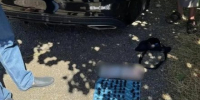 Пойман с поличным: в Симферополе пресекли сбыт запрещённых веществ и задержали наркокурьера - Вести Крым