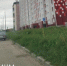 Улица Карпогорская в Архангельске заросла бурьяном имени Морева - Tv29.Ru