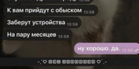 Екатерина Мизулина рассказала, как девушку из Самары пытались подставить в мессенджере - Волга Ньюс