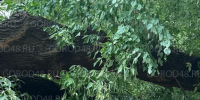 A8ostXpy__QdxOKbiBqqmY9IkSER8LsIHraP_iw_pJR5NMsXoyLn6S7g2EkBG0nJTKfrvuc8XKdeNpCBUxJIFhBI.jpg+2026-09-16-09.30.35.jpg - Gorod48.ru