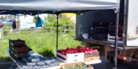 Более 23 тонн продукции изъяли у нелегальных продавцов в Ставрополе - Телеканал СвоёТВ