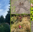 background - Kaluga-Poisk.Ru