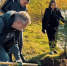 В Дудинке высадили ели и рябины - ИА Таймырский Телеграф