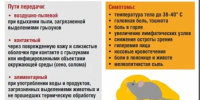 Профилактика  ГЛПС - Роспотребнадзор