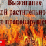 Пожарная безопасность в осенний период: риски сжигания сухой травы. - Администрация Гордеевского района