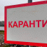В  хозяйстве Краснодарского края вспыхнула инфекция среди рогатого скота: введен карантин - LiveKuban.Ru