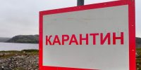В  хозяйстве Краснодарского края вспыхнула инфекция среди рогатого скота: введен карантин - LiveKuban.Ru