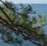 На каких курортах Краснодарского края Черное море остается теплым - Кубанские Новости