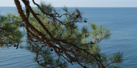 На каких курортах Краснодарского края Черное море остается теплым - Кубанские Новости