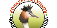 Конкурс детского рисунка «Чомга - птица 2026 года» - Заповедник им. профессора В.В. Алехина