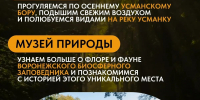 ТУР ВЫХОДНОГО ДНЯ: «ОСЕННИЕ ЗАРИСОВКИ УСМАНИ И БОБРОВЫЙ ЗАПОВЕДНИК» - Усманский муниципальный район