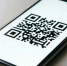 Участники СВО смогут указать свой статус через QR-код на портале Госуслуг - Сетевое издание Родной край 31
