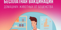 В Вичугском округе проведут бесплатную вакцинацию домашних питомцев от бешенства. - Администрация района