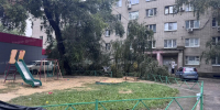 Дерево рухнуло на парковку и оборвало провода во дворе жилого дома в Воронеже - ГТРК Воронеж