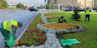 Садовники регулярно заботятся о зеленых зонах Петербурга - Spbdnevnik.ru