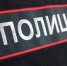 В Новосибирской области выявили 20 нелегальных мигрантов - Precedent.TV