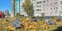 Филолог Мокиенко поделился размышлениями о происхождении выражения «бабье лето» - Газета Посинформ