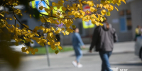 В Свердловскую область к выходным вернется теплая и сухая погода - КП Екатеринбург