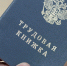 Названы самые востребованные профессии Тверской области этой осенью - ТИА