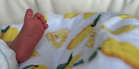 С начала года в Подмосковье провели более 3,5 тыс. процедур ЭКО из 5,5 тыс. запланированных - MosRegToday.Ru