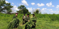 Полицейские с казаками уничтожили кусты дикорастущей конопли - Октябрьский район