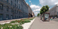 В центре Курска липам делают прививки - Комсомольская Правда