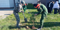 В Туапсинском округе пройдет традиционная акция по охране лесов - Itar-TassKuban.Ru