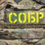 В Дербентском районе ликвидировали подпольную плантацию конопли - РИА Дагестан