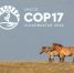 Оренбургский заповедник на COP17 в Монголии - Заповедники Оренбуржья