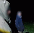 В Алтайском крае правоохранители поймали троих браконьеров , охотившихся на косуль - Bankfax.Ru