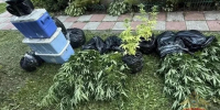 Под Тулой пресекли незаконное культивирование и хранение крупной партии наркотиков - Комсомольская Правда