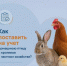 Важная информация для владельцев личных подсобных хозяйств! - Государственная ветеринарная служба