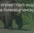 Поделитья во ВКонтакте - Братская Студия Телевидения