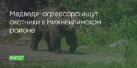 Поделитья во ВКонтакте - Братская Студия Телевидения
