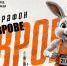 В октябре по улицам Коврова пройдет массовый забег «Город Оружейников» - KovrovSegodnya.Ru