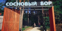 В Лысых Горах непроходимый сосновый бор превратили в зону отдыха - Правительство Саратовской области