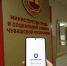 Профилактические визиты и консультирование: удобный дистанционный формат для поставщиков социальных услуг - Министерство труда и соцзащиты