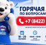 «Единая Россия» запустила горячую линию по вопросам выборов - Ulpravda.Ru