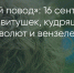 Поделитья во ВКонтакте - Братская Студия Телевидения