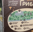 В Коми создали Грибной кодекс - Pg11.Ru