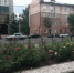 Ко Дню города в Курске откроют новые общественные пространства - Комсомольская Правда