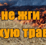Пал сухой травы-это опасно!. - Администрация г. Клинцы