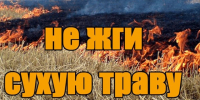 Пал сухой травы-это опасно!. - Администрация г. Клинцы