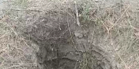 Собака провалилась в глубокий колодец в новом городе, она еще жива, туда же могут упасть дети - Bloknot-Volgodonsk.Ru